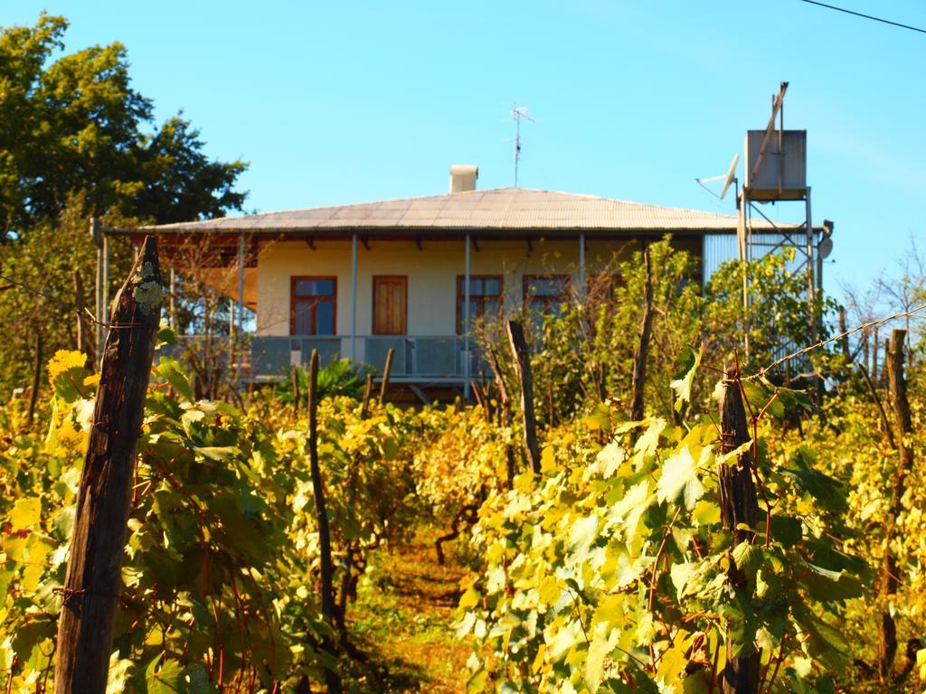 Guesthouse Zedafoni Zestafoni Εξωτερικό φωτογραφία